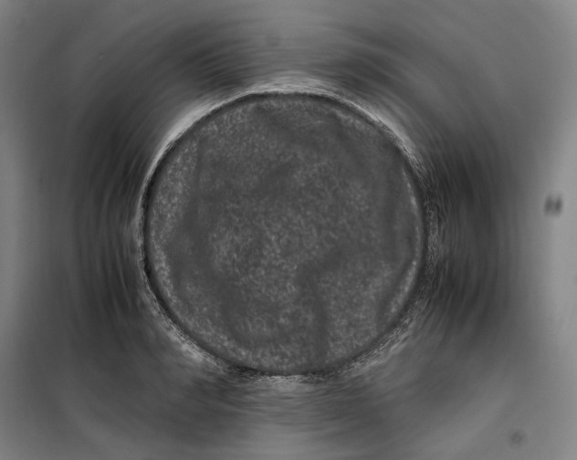 X0000099470990200805301552