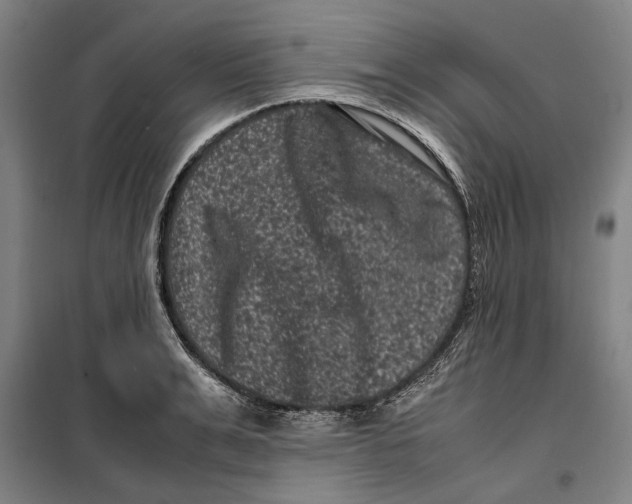 X0000099470991200805301552