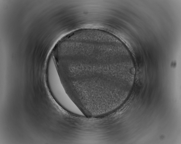 X0000099470992200805301552