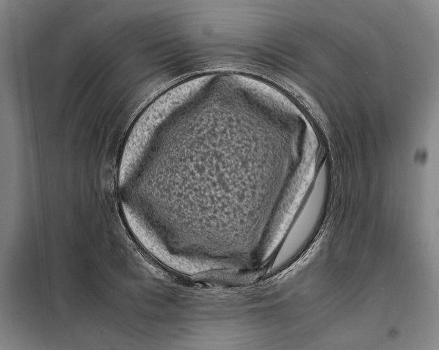 X0000099470993200805301552