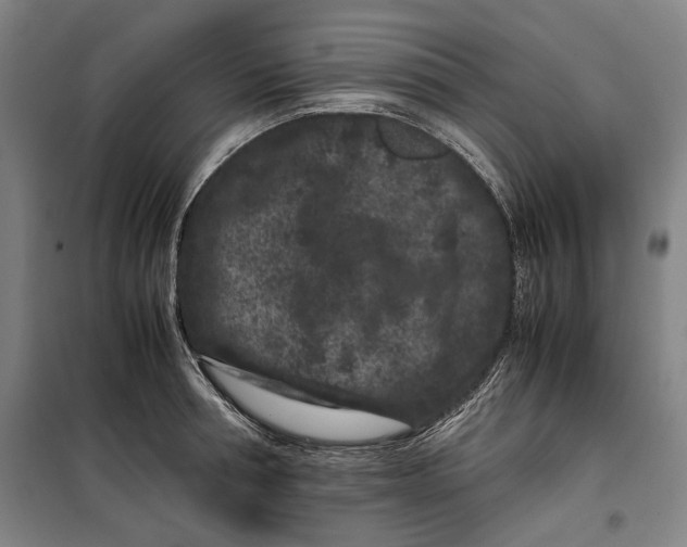 X0000099470994200805301552