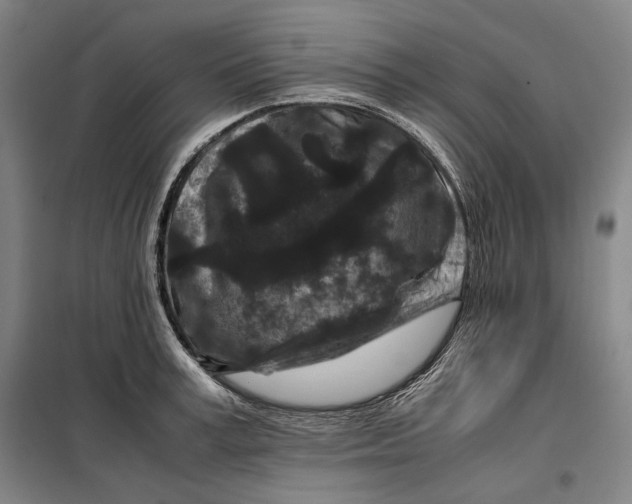 X0000099470995200805301552