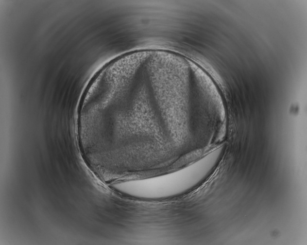 X0000099470996200805301552