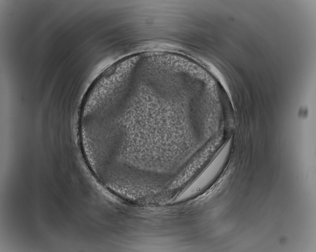 X0000099470997200805301552