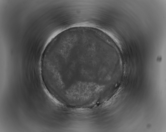 X0000099470998200805301552