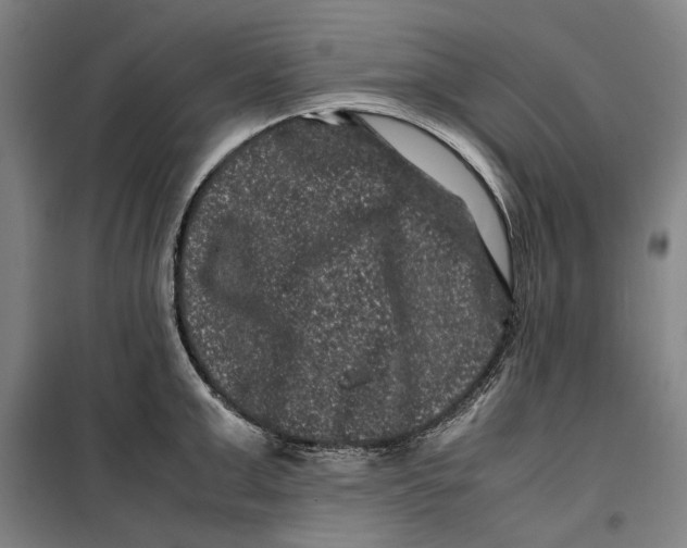 X0000099470999200805301552