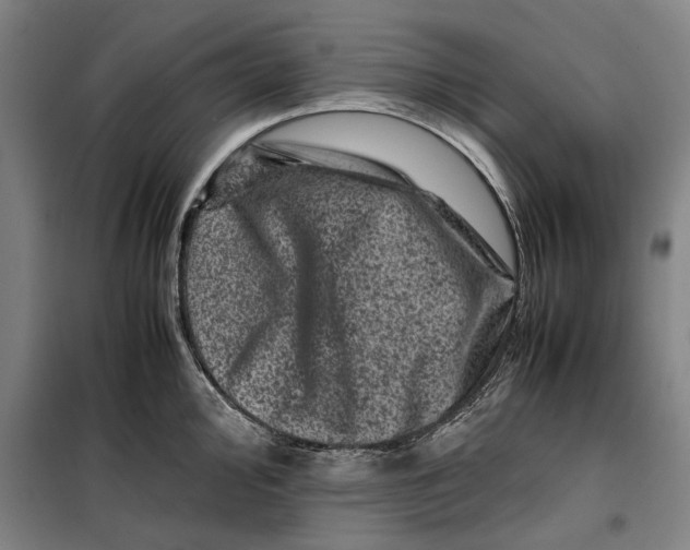 X0000099471000200805301552