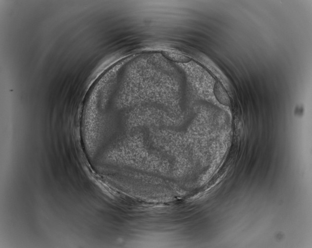 X0000099471002200805301552