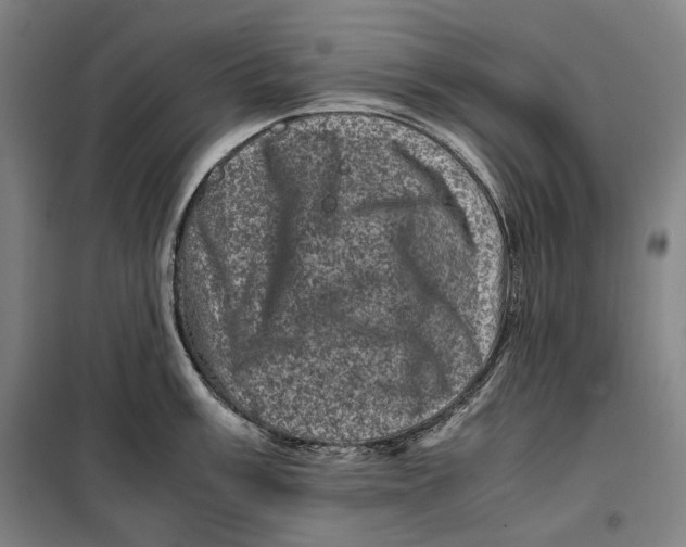 X0000099471003200805301552