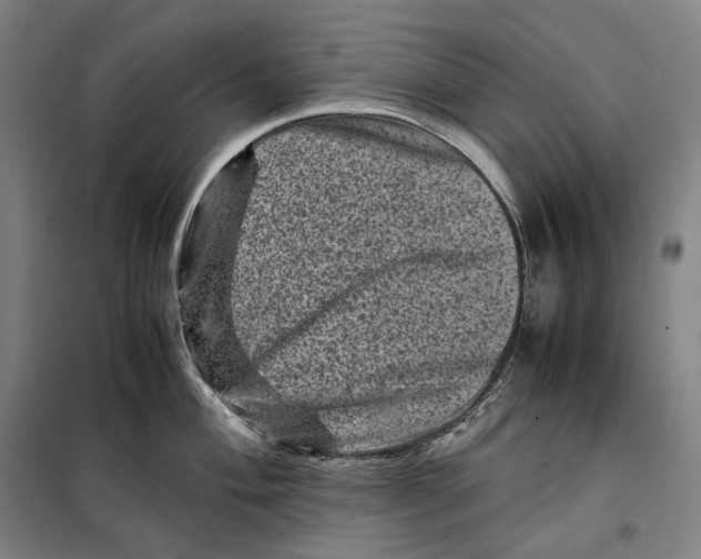 X0000099471004200805301552