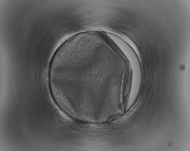 X0000099471005200805301552