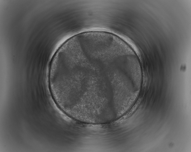 X0000099471006200805301552