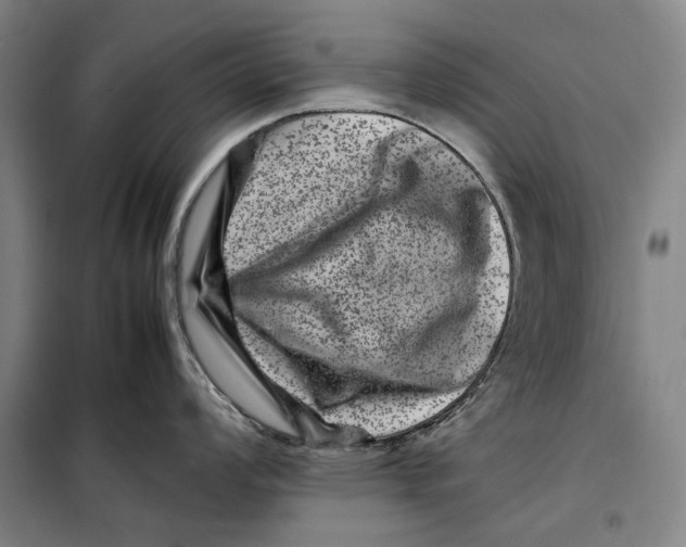 X0000099471008200805301552