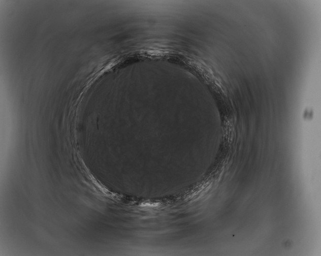 X0000099471009200805301551