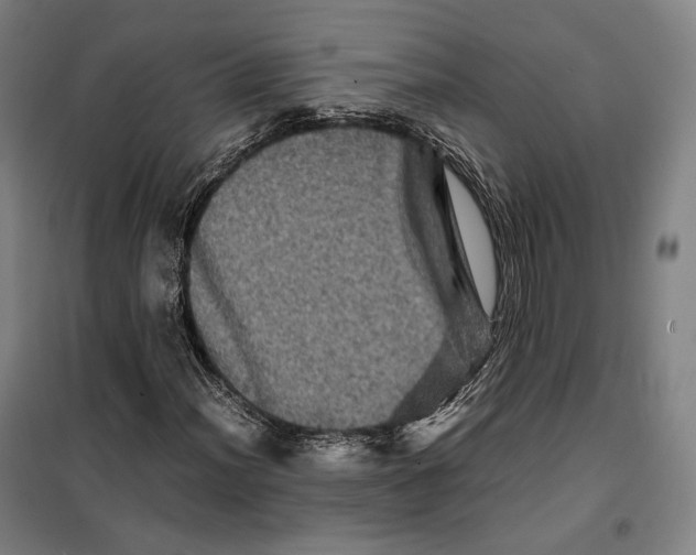 X0000099471012200805301551