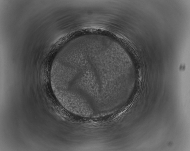 X0000099471014200805301551