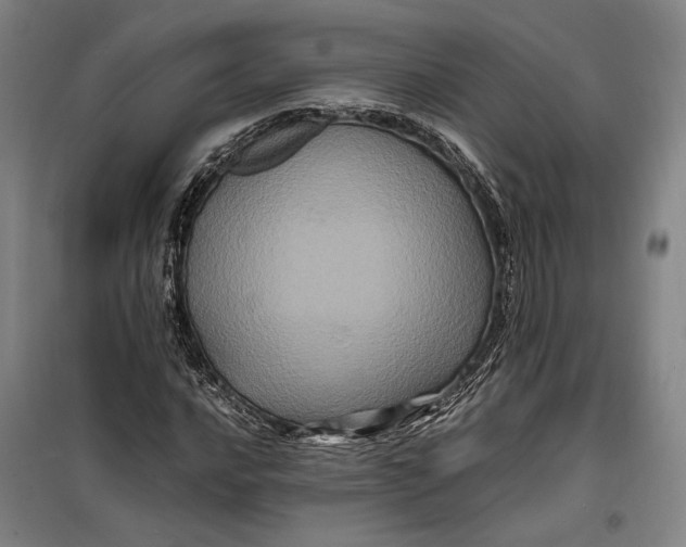 X0000099471016200805301551