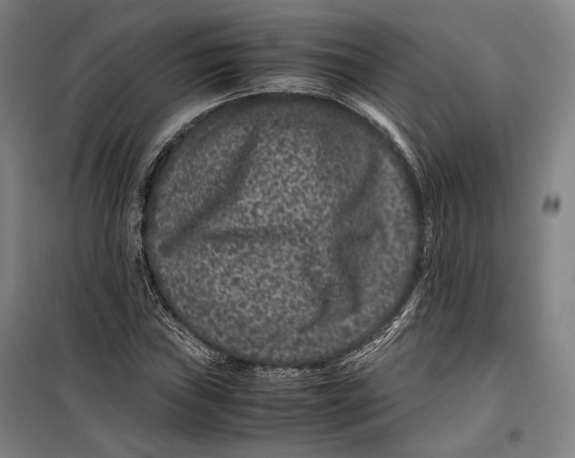 X0000099471019200805301551