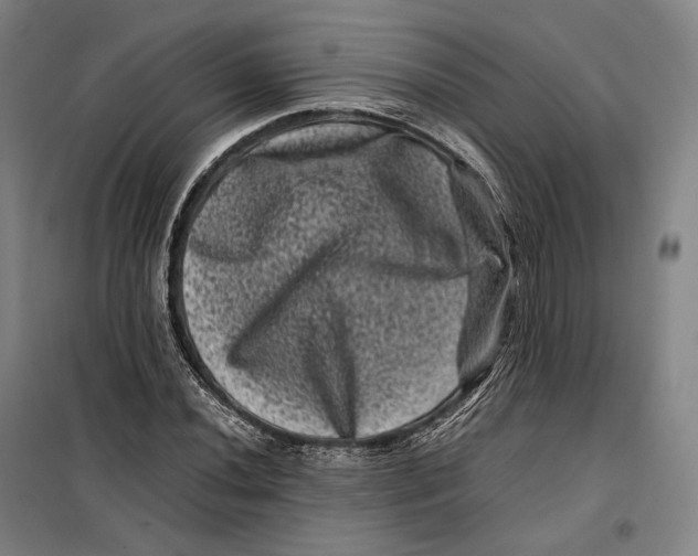 X0000099471020200805301551