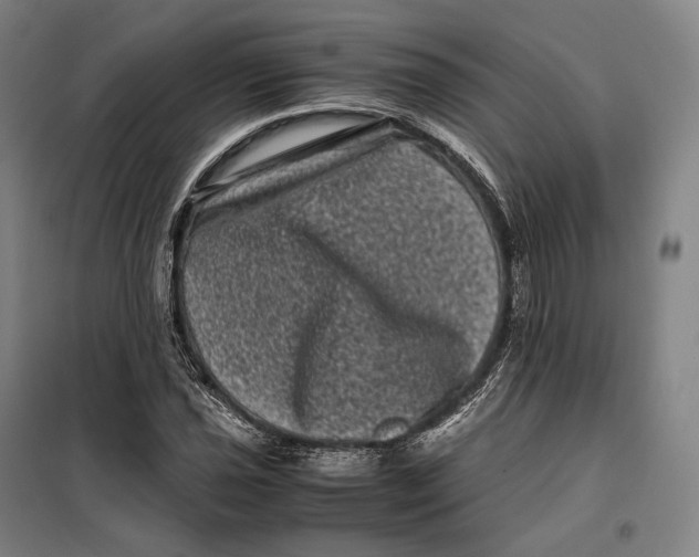 X0000099471021200805301552