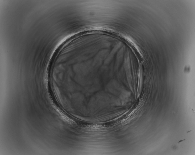 X0000099471024200805301552