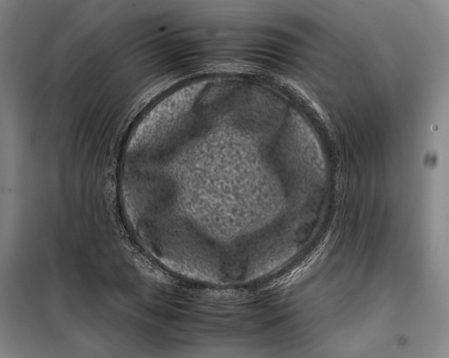 X0000099471025200805301552