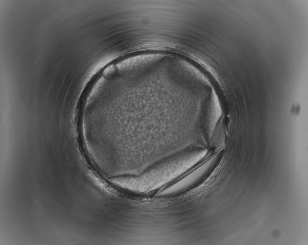 X0000099471026200805301552