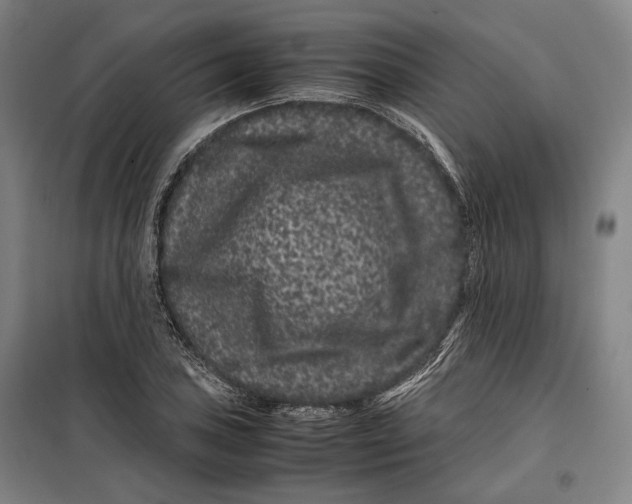 X0000099471027200805301552