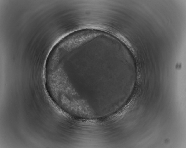 X0000099471028200805301552