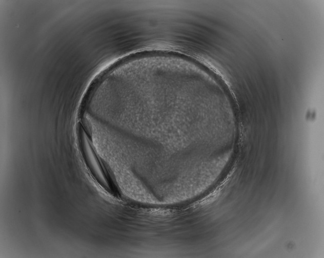 X0000099471029200805301552