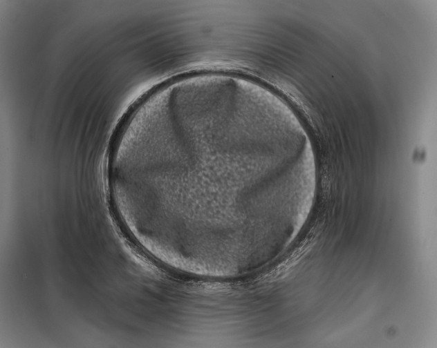 X0000099471030200805301552