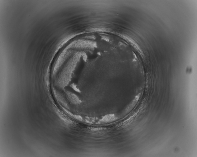 X0000099471031200805301552