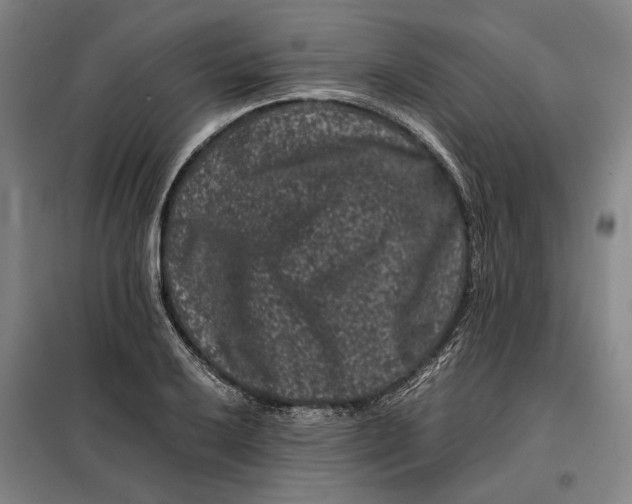 X0000099471032200805301552