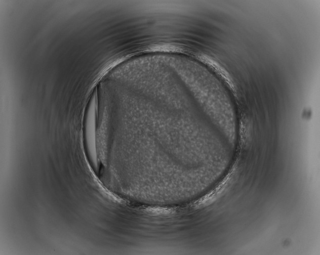 X0000099471033200805301552