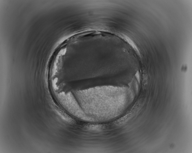 X0000099471035200805301552