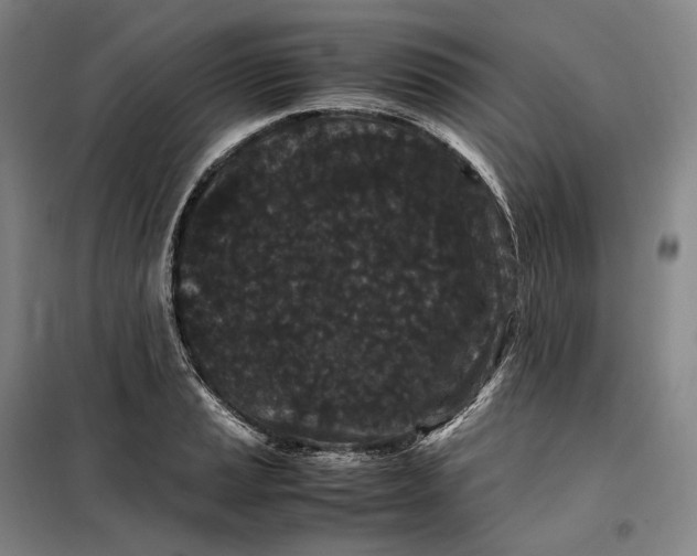 X0000099471037200805301552