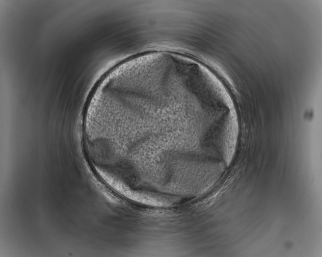 X0000099471040200805301552