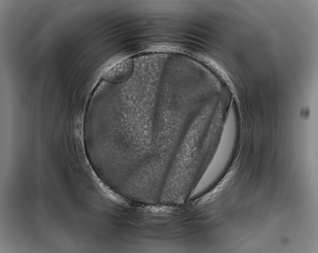 X0000099471041200805301552