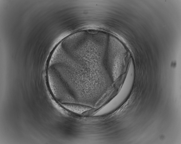 X0000099471042200805301552