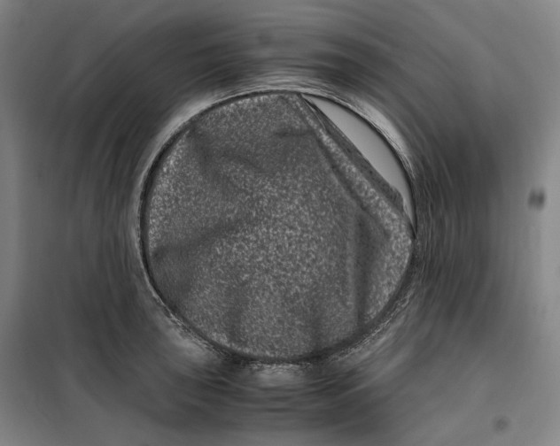 X0000099471043200805301552