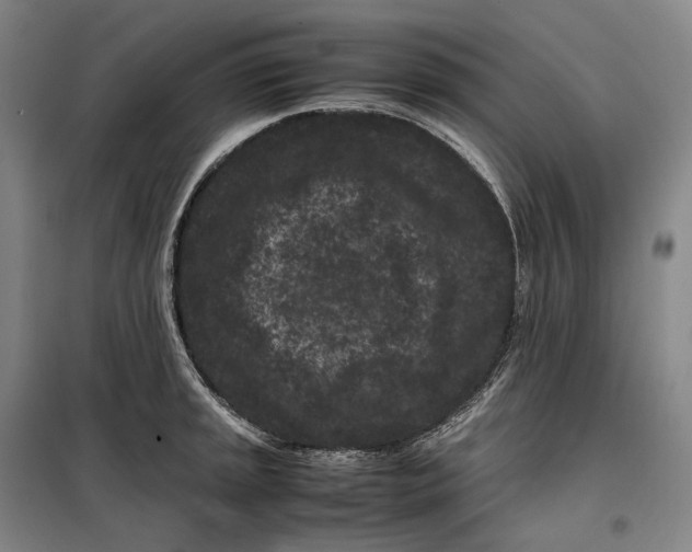 X0000099471045200805301552