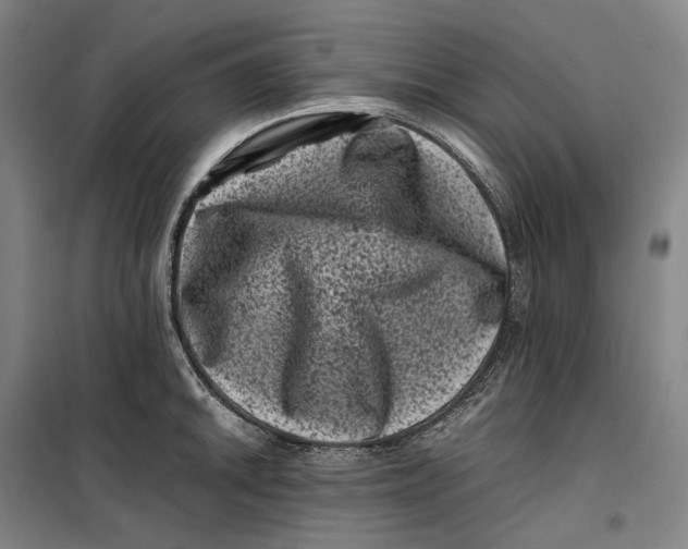 X0000099471046200805301552