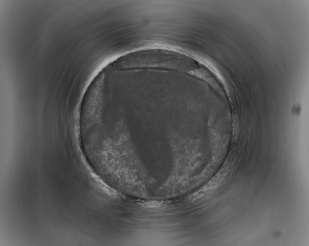 X0000099471048200805301552