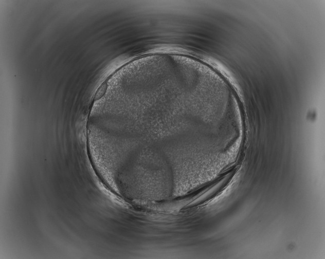 X0000099471049200805301552