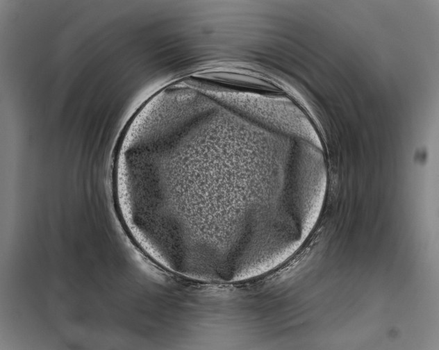 X0000099471050200805301552