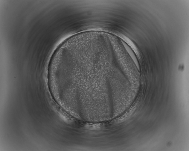 X0000099471051200805301552