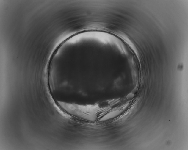 X0000099471053200805301552