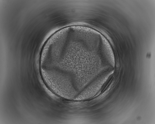 X0000099471054200805301552