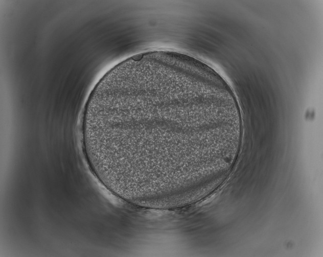 X0000099471056200805301552