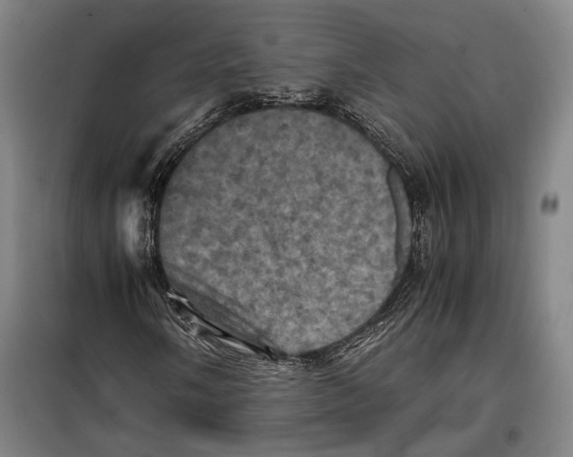 X0000099471058200805301551